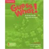 Guess What! Level 3 Activity Book